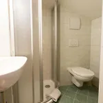 Schiwiese Mit Freiem Eintritt In Alpentherme & Freie Nutzung Der Gasteiner Bergbahnen Im Sommer 2026 Apartamento *
