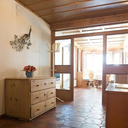 Apartment Schiwiese Mit Freiem Eintritt In Alpentherme In Bad Hofgastein